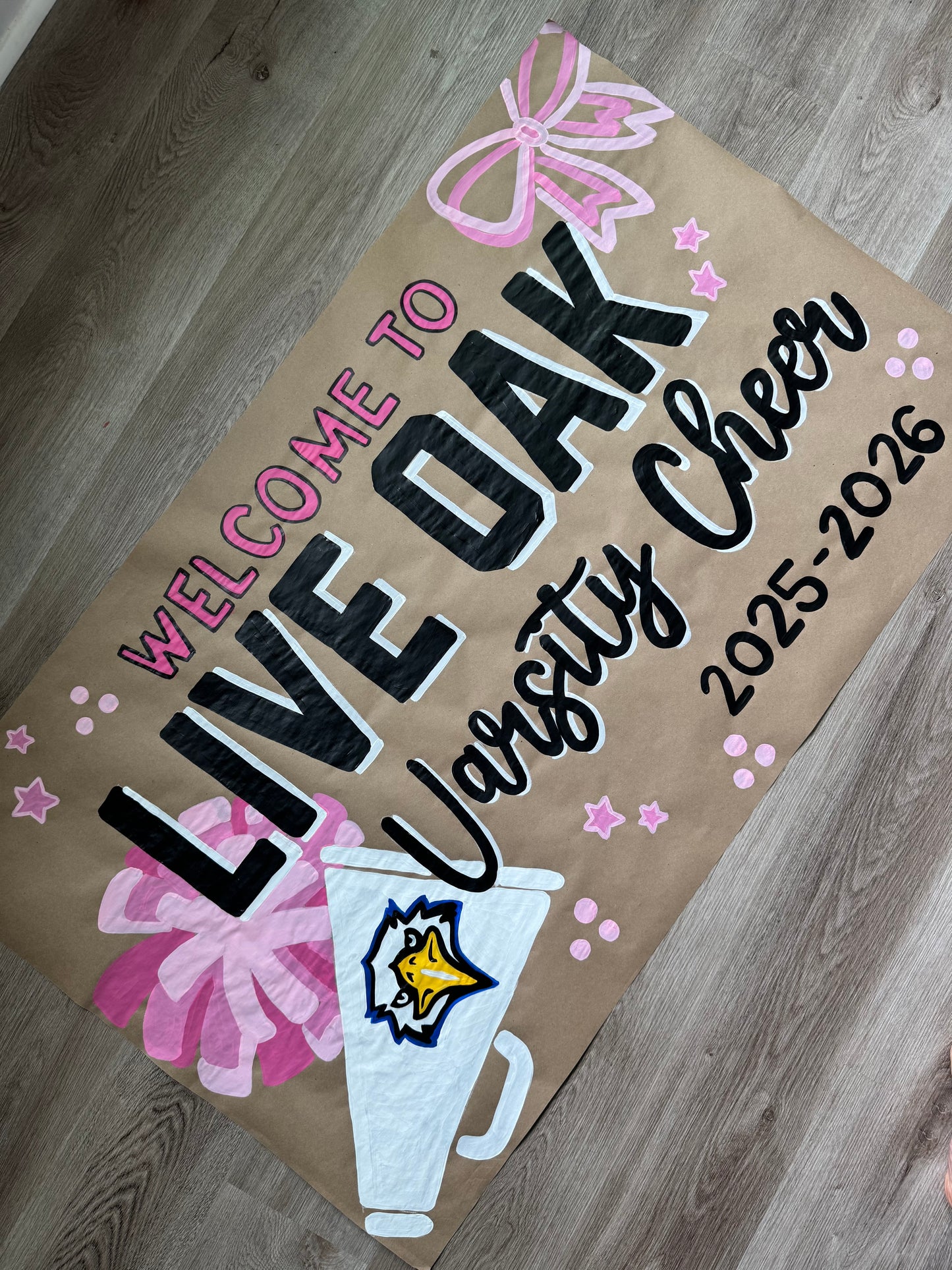 CUSTOM SCHOOL PAINTED BANNERS